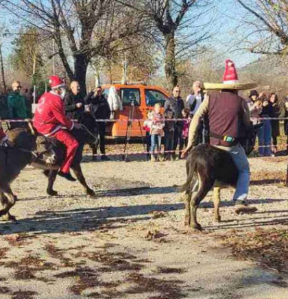 Utrka magaraca u nedjelju u Čapljini