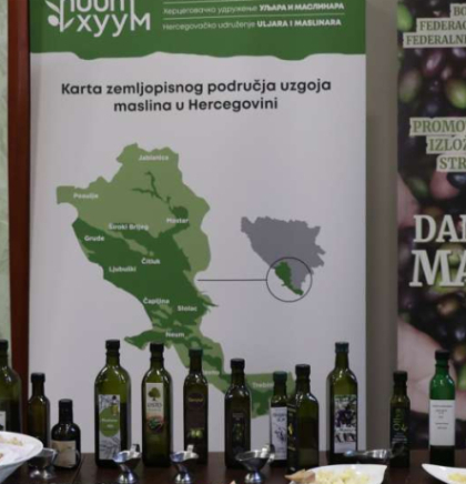 Zlatne kapi masline u Hercegovini, cilj je za&scaron;titi proizvode na razini Europske unije