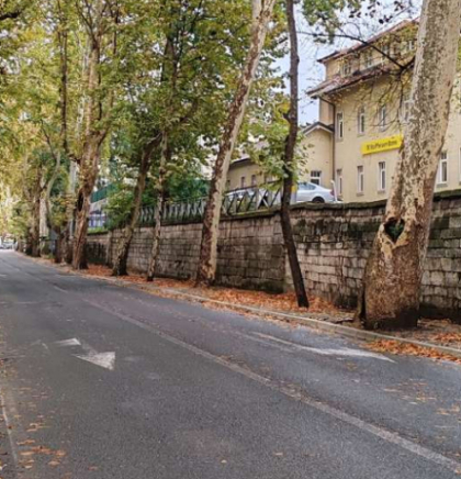 Bihać jutros najtopliji sa 8 stepeni, danas sunčano, u Bosni po kotlinama i uz riječne tokove magla