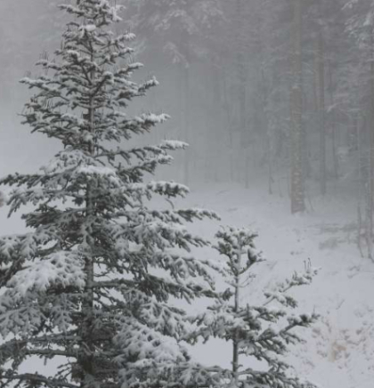 U BiH pretežno oblačno jutro, na Bjela&scaron;nici minus 12, u Neumu dva stepena