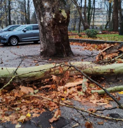 Povećana opasnost od odrona, granja i sru&scaron;enih stabala zbog jakog vjetra&nbsp;