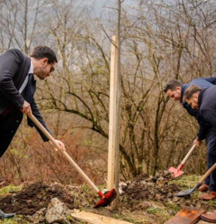 U Aleji ambasadora danas sadnja lipa