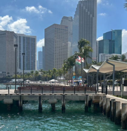 Welcome to Miami: Tverkanje, bogatsvo i pjesma Lepe Brene