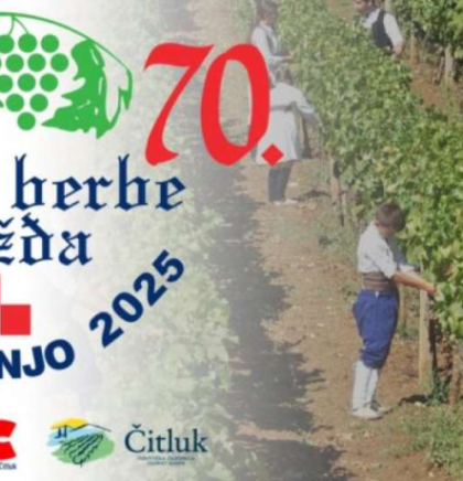 Bogat program manifestacije 'Dani berbe grožđa' u Čitluku