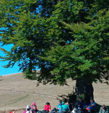 Dani planinara FBiH ovog vikenda na planini Lisac iznad Zenice