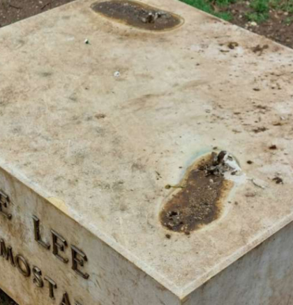 Kip Brucea Leeja vraća se u park Zrinjevac