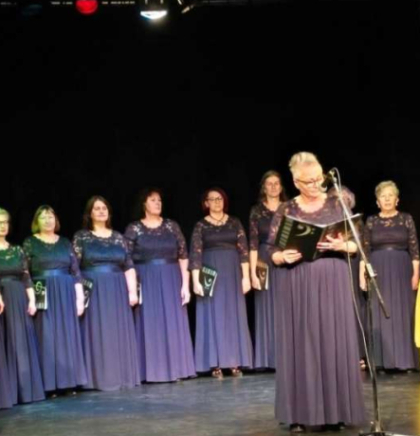 Aktiv žena &rsquo;Safir&rsquo; u &Scaron;vedskoj nastavlja tradiciju i promovira bh. kulturnu ba&scaron;tinu 