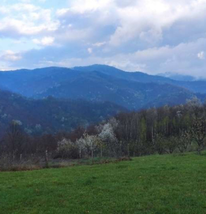 Korak naprijed ka obnovi &scaron;umskih predjela na zapadnom Balkanu