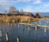 Klimatske promjene i lo&scaron;e upravljanje isu&scaron;uju mađarsko jezero Velence